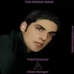 دانلود آهنگ گروه وحید هنرور و احسان برزگر بی وفایی