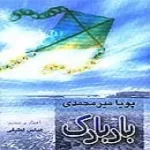 دانلود آهنگ پویا میرمحمدی بادبادک