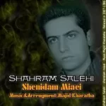 دانلود آهنگ شهرام صالحی شنیدم میایی دانلود آهنگ شهرام صالحی شنیدم میایی