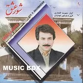 دانلود آهنگ علیرضا افتخاری شور عشق