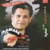 دانلود آهنگ سعید خوانساری یکی مثل من ، یکی مثل تو