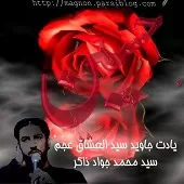 دانلود آهنگ سید جواد ذاکر علی مولا