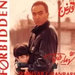 دانلود آهنگ شهیار قنبری Rise Up