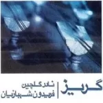 دانلود آهنگ نادر گلچین پیش درامد