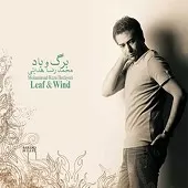 دانلود آهنگ محمد رضا هدایتی رفتی از دلم